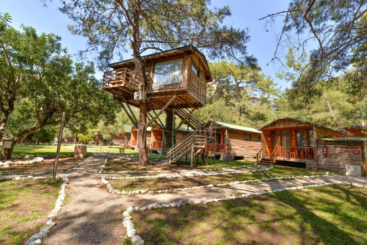 Sea Valley Lodge Faralya Ngoại thất bức ảnh